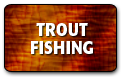 trout fishing